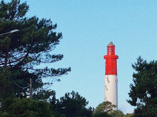 Cap Ferret