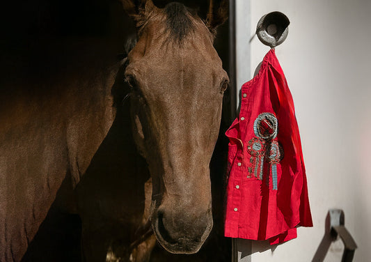 Ça galope, ça galope....