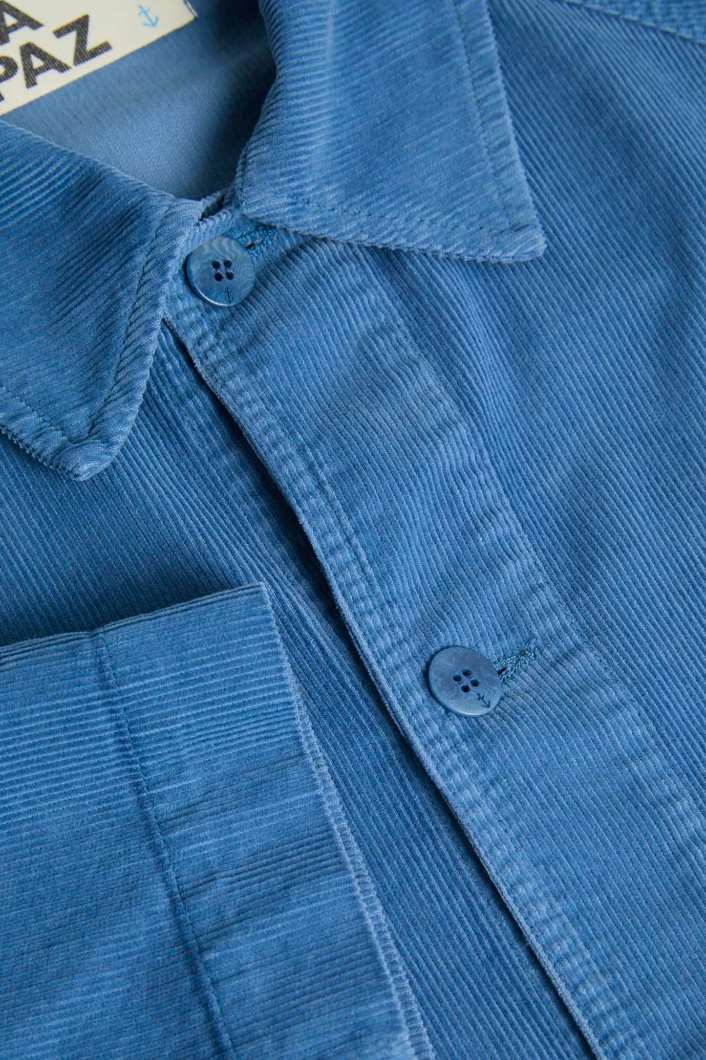 BLOUSON EN VELOURS BLEU