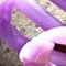 CLIP EARRINGS LILAC