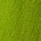 FOULARD EN COTON VERT