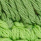 CANED BAG GREEN color sample 