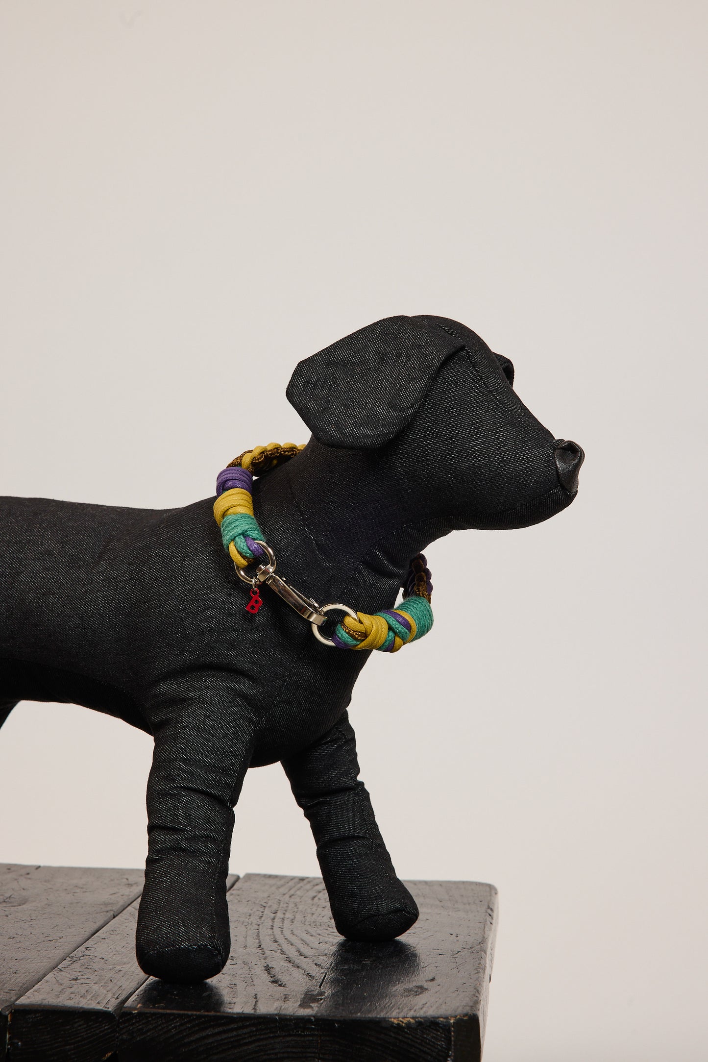 COLLIER DE CHIEN S