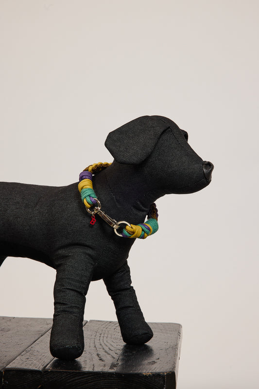 COLLIER DE CHIEN S