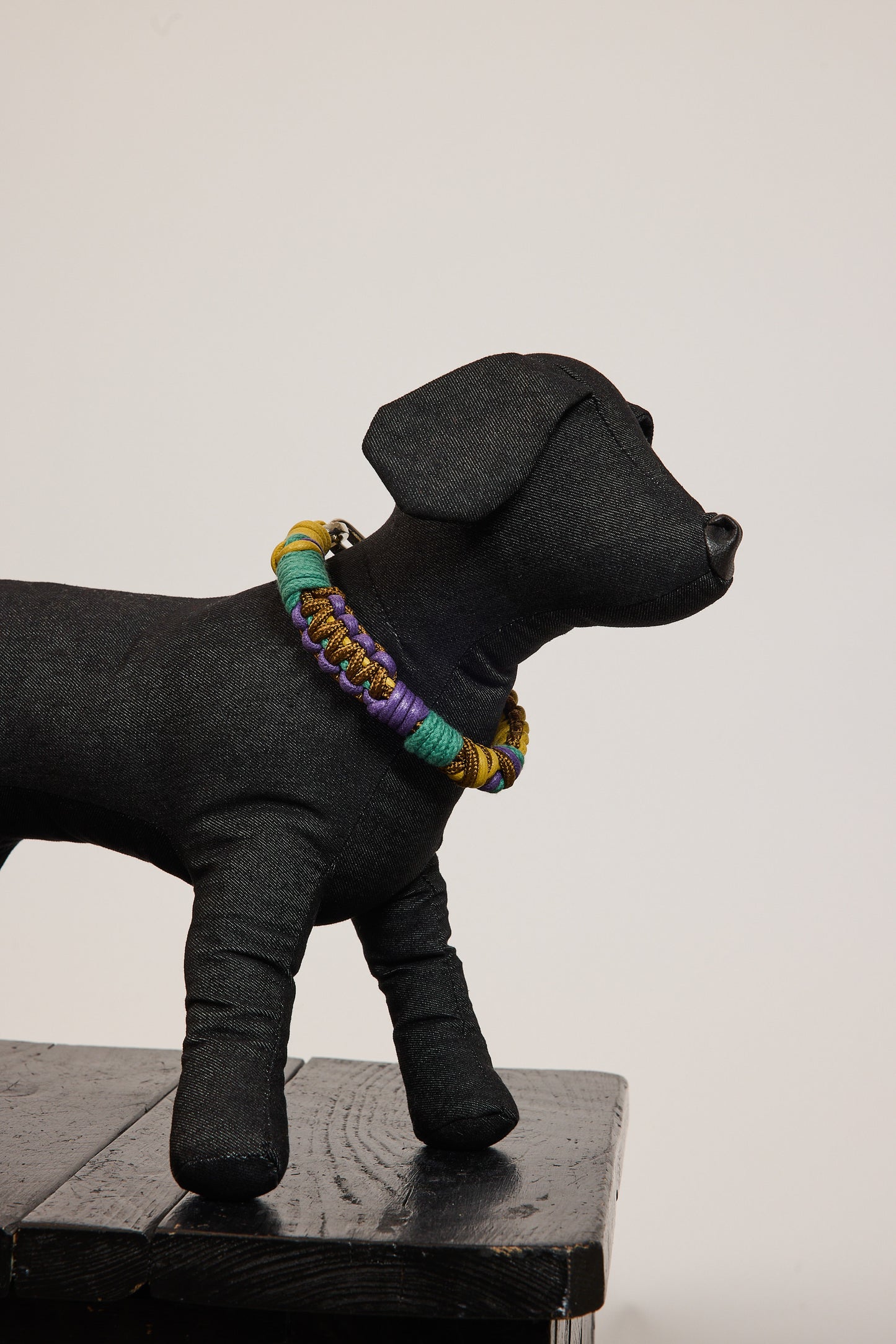 COLLIER DE CHIEN S