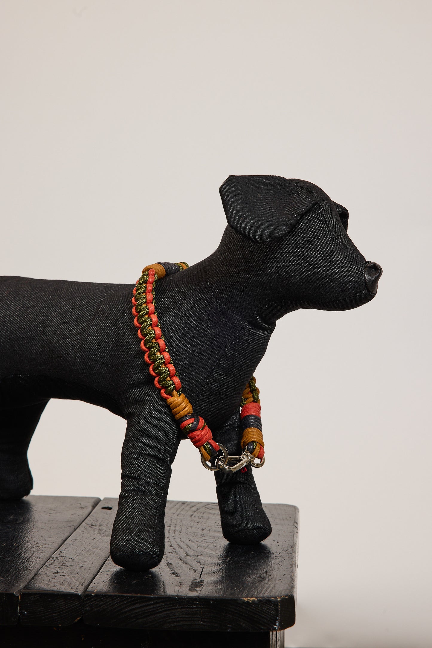 COLLIER DE CHIEN L