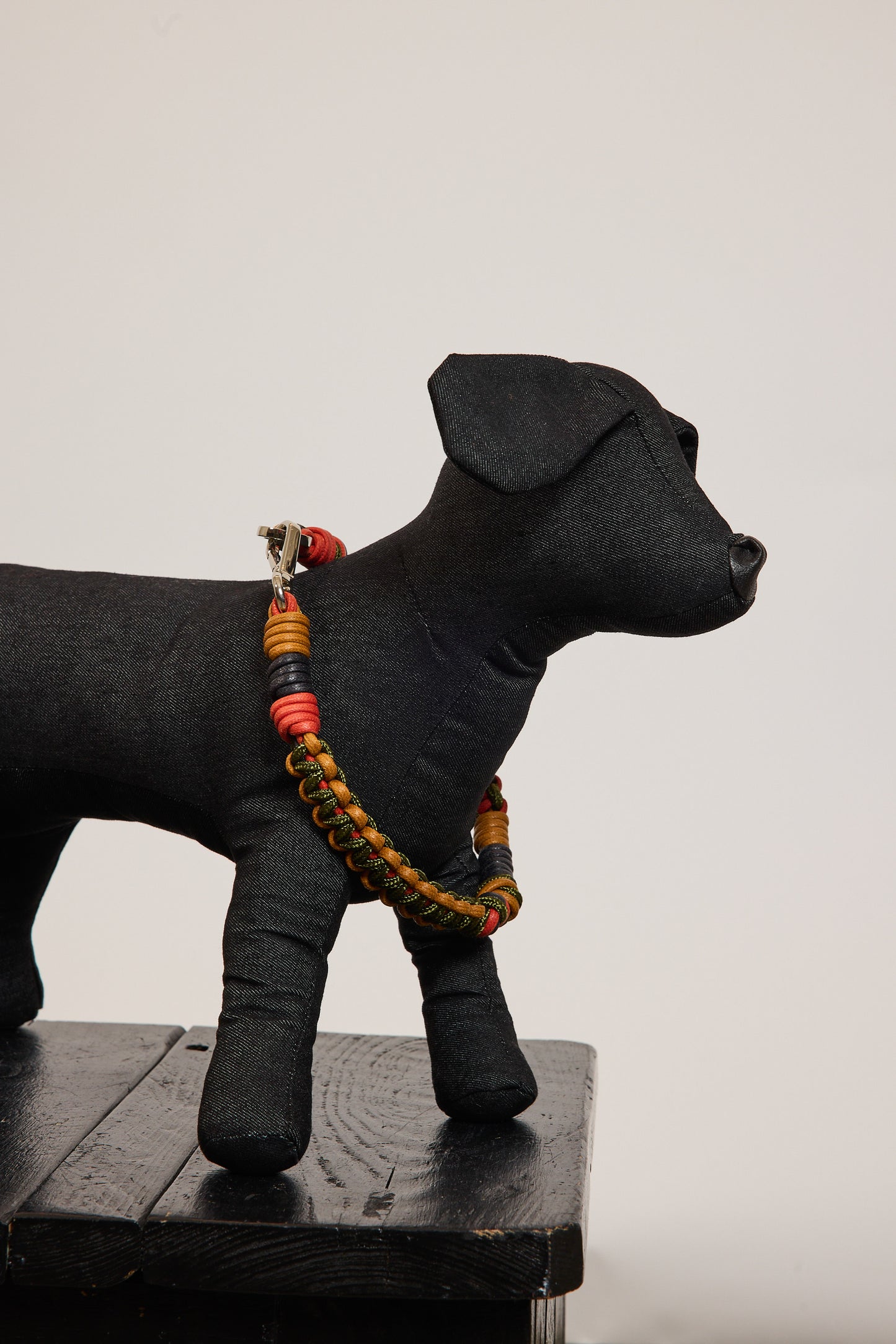 COLLIER DE CHIEN L